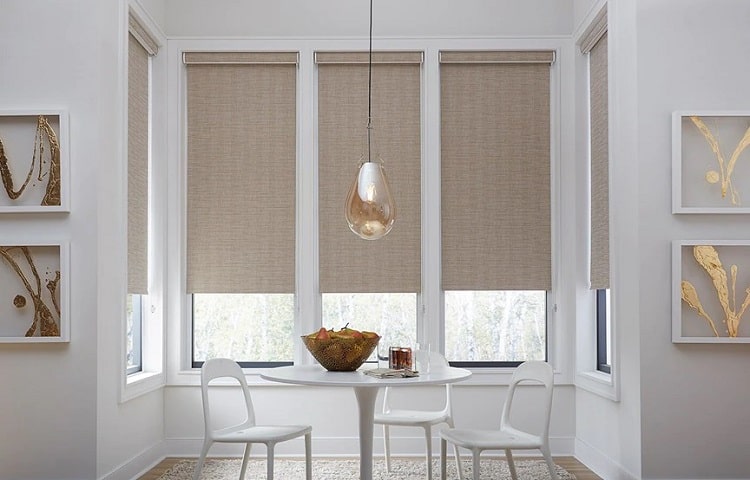 Economy Blackout Roller Shades