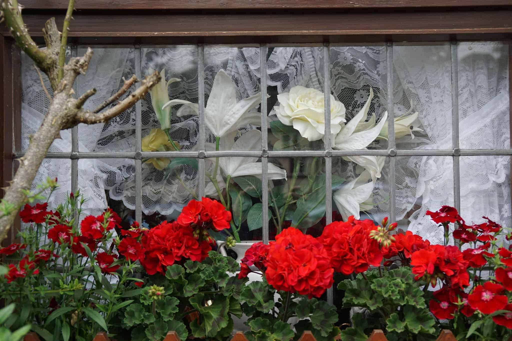 Lace Curtains