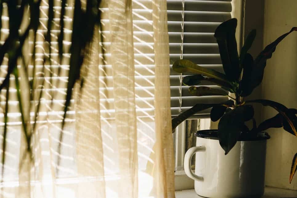 how to find the best blinds
